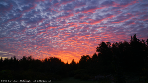 Red Sky at Morning....png